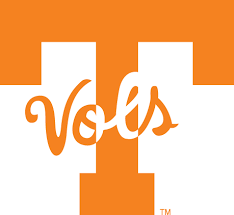 Use it in your personal projects or share it as a cool sticker on tumblr, whatsapp, facebook messenger, wechat, twitter or in other messaging apps. Tennessee Titans Logo Transparent Png 2279832 Png Images Pngio