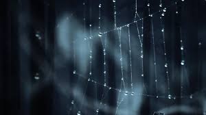 3840x2160 Wallpaper Web Shadow Glare Dark Best Wallpapers Android Wallpaper Website Wallpaper