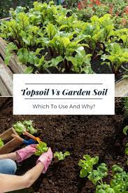 Maybe you would like to learn more about one of these? Topsoil Versus Garden Soil Which To Use And Why
