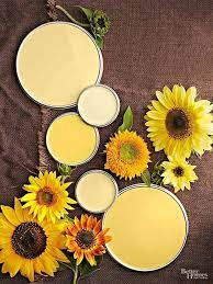 Yellow Paint Colors Interior Designers