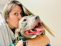 Pet dog Jake from State Farm battling cancer