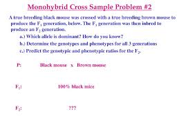 Use this link to review monohybrid crosses (use the arrows at the bottom of the page to navigate). Ppt Mendelian Genetics Inheritance Lecture Notes Biol 100 K Marr Powerpoint Presentation Id 6606192