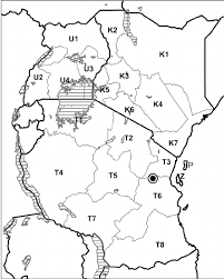 Image result for Crepidorhopalon namuliensis