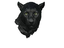 Get inspired with ballard designs. Realistic Giant Cat Wall Sculpture Art Bust Huge Polyresin Home Decor Statue Hand Painted Mounted Head