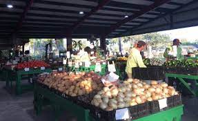It's also home to central florida's north jetty is within fort pierce state park. Organic Farm Fruits Vegetables And Nursery Review Of Nelson Family Farms Fort Pierce Fl Tripadvisor