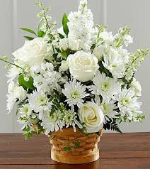 Michael Mattar Obituary (1951