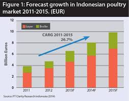 Meeting The Challenge Of Indonesias Growing Demand For Poultry
