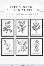 Bathroom Free Printable Wall Art Black And White Free Vintage Botanical Prints Wall Art Https Centophobe Com Free Vintage Botanical Prin Free Printable Wall Art Botanical Wall Art Vintage Botanical Prints