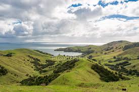 The local māori tribe of whanganui in the north island has fought for the recognition of their river. New Zealand Waikato Manaia Green Hilly Landscape By The Sea Shore Landform Horizontal Stock Photo 199823026