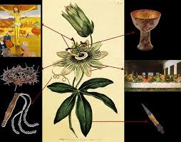 Pin En Myth Legend Symbolism Metaphor