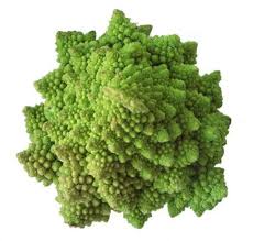It's a little like cauliflower and a little like broccoli, and it makes a great salad! Romanesco Stuck Ca 900 1000 G I Der Bruder Vom Brokkolie I Bestellen