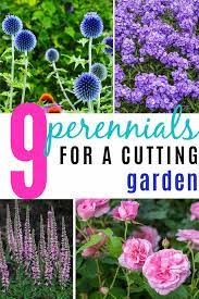 Pin On Garden Plants