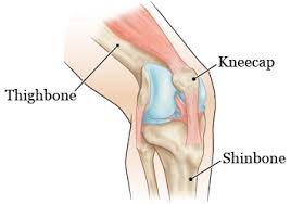 Check spelling or type a new query. About Your Knee Replacement Surgery Memorial Sloan Kettering Cancer Center