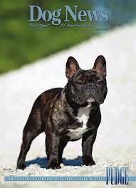 Maybe you would like to learn more about one of these? Dog News August 23 2013 By Dog News Issuu