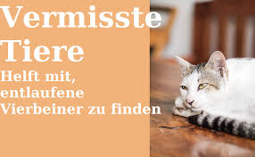 Dabei spielt es keine rolle, ob es sich um eine gedruckte oder online. Vermisste Tiere Im Westerwald Startseite Facebook