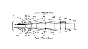 Basic Photography The Visual Chronicle