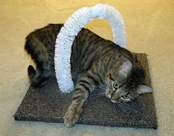 Pega Una Muestra De Alfombra En Un Marco De Madera Para Asi Crear Un Puesto Minimalista Que Los Gatos Puedan Rascar Gatos Trucos De Gato Y Diy Cat Toys