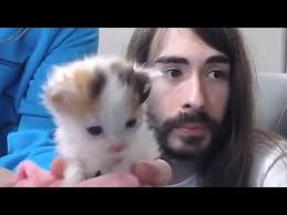 CaseOh's Best Kitty Moments