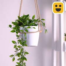 Check Out This Cool New Way To Hang Your Plant Anywhere In Your Lovely Home Plants Gardening Green Diy Plant Hanger Hanging Plants Diy Macrame Plant Hanger