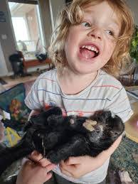 Laura Hilderman's Instagram, Twitter & Facebook