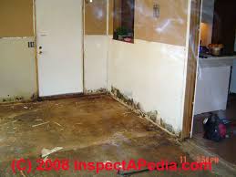 Pour the undiluted vinegar into a spray bottle. Bleaching Mold Disinfecting Surfaces Guide For Using Bleach To Clean Off Or Remove Mold Bleach To Kill Mold