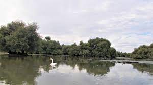 View delta dunarii research papers on academia.edu for free. Delta DunÄrii Wikipedia