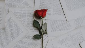 Download Wallpaper 1366x768 Rose Books Texts Tablet Laptop Hd Background In 2020 Laptop Wallpaper Desktop Wallpapers Cute Desktop Wallpaper Laptop Wallpaper
