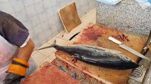 With many benefits from these oily fish, fish pollock can be bought in bulk for bigger savings. Traditional Way Of Cutting Carp Fish By Bill Hook Hand Made Bill Hook Used To Cutting 2 Kg Carp Fish By All Over Fish