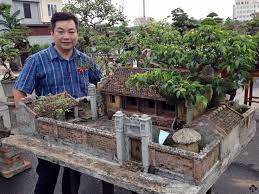 Pin On Shared Bonsai Board