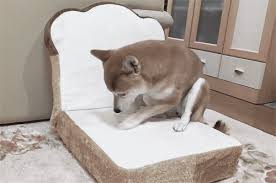 Butterin Mah Toast Imgur Shiba Inu Dog Pet Beds Shiba