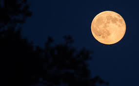 Hệ thống đang tự động kết nối lại. October 2020 The Next Full Moon Is The Harvest Moon Nasa Solar System Exploration