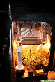 If yours is sizing 4x4 feet and you are also in need of the best specific grow light, here is the right landing. The 4x4 Grow Tent Club 420 Magazine