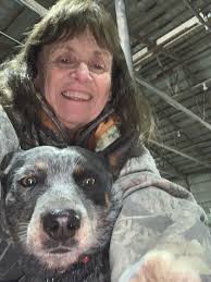 Found dead blue heeler mix dog in Centralia