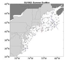 Season 2 and season 3 have a number of special stages where unusual conditions are present. Plankton Noaa Teacher At Sea Blog