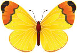 Yellow Butterfly Png Clip Art Transparent Image Beautiful Butterflies Art Butterfly Art Painting Butterfly Painting