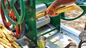 Tebu adalah salah satu jenis tumbuhan air tebu kaya akan kandungan fosfor dan kalsium yang sangat berguna untuk melindungi gigi. Bolehkah Ibu Hamil Konsumsi Air Tebu Kumparan Com