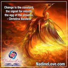 Discover and share phoenix bird quotes. Phoenix Rebirth Quotes Quotesgram