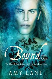 Bound, Vol. 1 (4) (Little Goddess): Lane, Amy: 9781634761192: Amazon.com:  Books