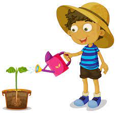 Check spelling or type a new query. Boy Watering Plant On White Background 367895 Vector Art At Vecteezy