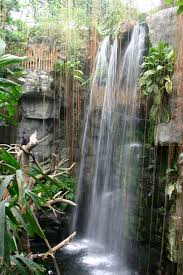 Rainforest Omaha S Henry Doorly Zoo Omaha Nebraska Usa Voted Best Zoo In The World Omaha Zoo Travel Nebraska Waterfall