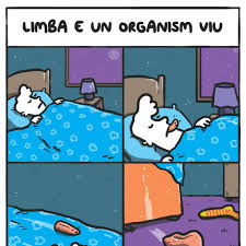 Motoarele sunt la comun cu audi a4 b5 si passat b5 asa ca nu mai au nevoie de nicio prezentare. Utopia Balcanica Limba E Un Organism Viu