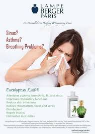 Amazon.Com: Lampe Berger Fragrance Trio Refill For Home Fragrance Oil  Diffuser - 3 X 8.45 Fluid Ounces - 3X250 Milliliters (Trio Warm) : Home &  Kitchen