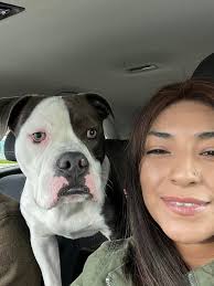 Anyone missing this cutie? Super friendly and cute.