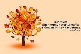 Yardimlasma Ile Ilgili Sozler Guzel Soz Ilham Verici Egitim