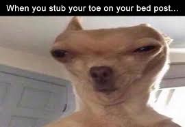Maybe you would like to learn more about one of these? Funny Pictures Wallpaper Enjpg