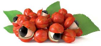 Meglio scegliere quelle ricche di acqua come le cipolle, le zucchine ed i peperoni. Pressione Bassa Le Erbe Vengono In Aiuto