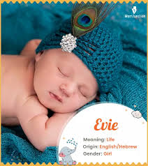 Evie Name Meaning, Origin, And History: A Comprehensive Guide