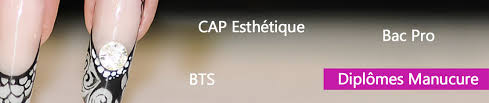 Plus de 500 fiches bts vous indiquent le nombre d'établissements qui dispensent la formation, le taux de réussite, les bacs les plus représentés. Listes Des Diplomes Formant A La Manucure
