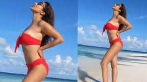 Sophie Choudry flaunts her toned body in latest bikini picture: ‘Taking it  all in’