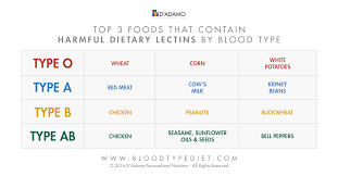 blood type diet and exercises for healthy joints